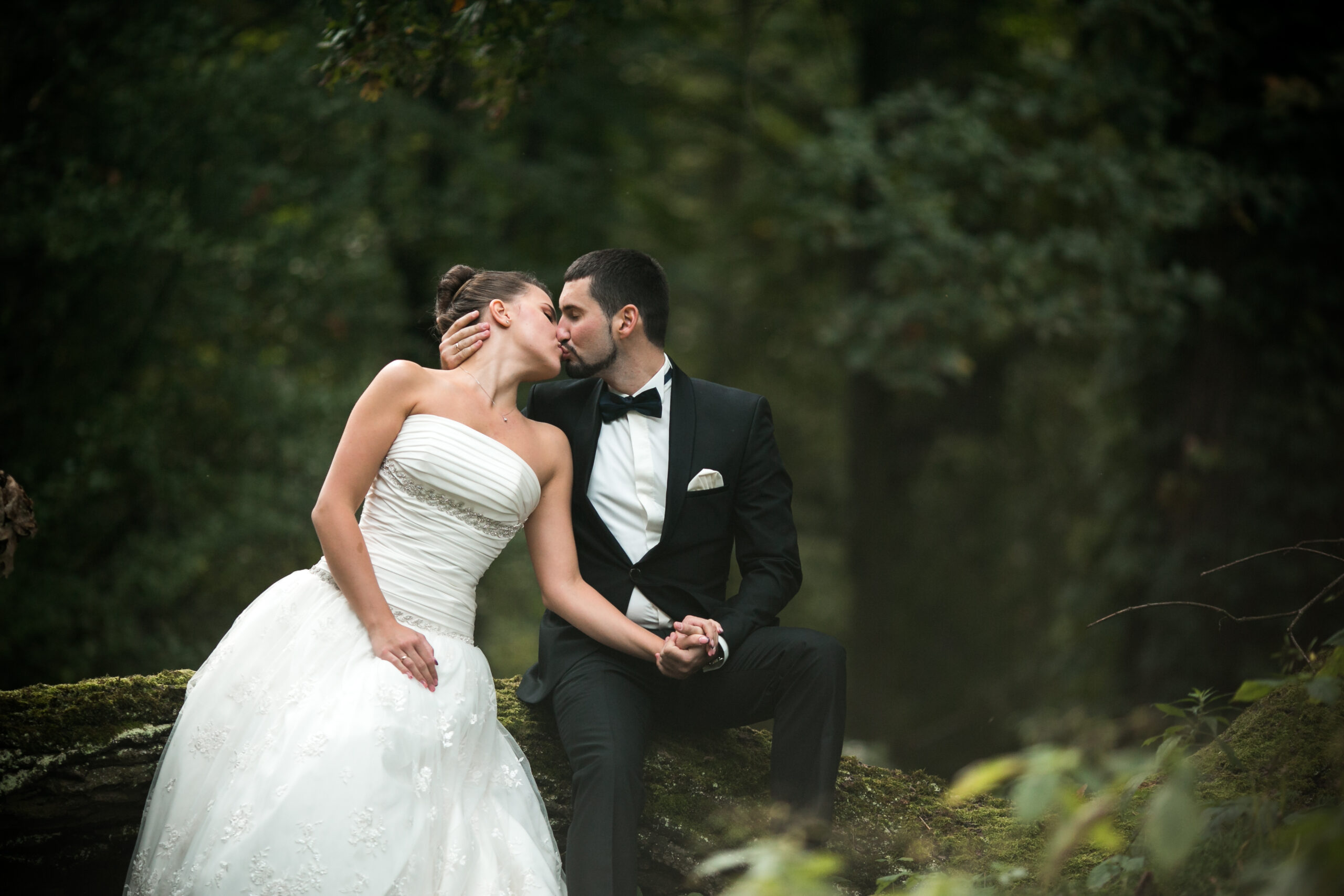 Beautiful wedding couple sitting in the woods on a fallen tree